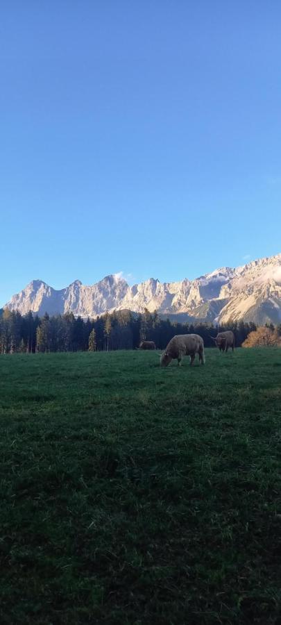 Landhaus-Koenigsberg, Vorberg 360 Ebenguetlweg Ramsau am Dachstein Exterior photo